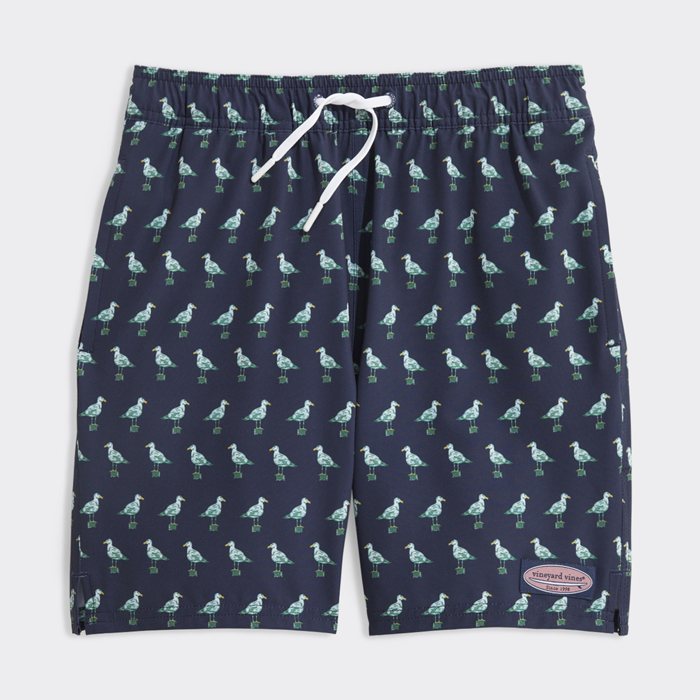 Bañador Boys' Printed Chappy Swim Trunks
